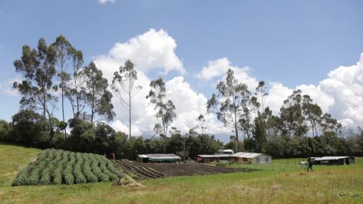 Reforma agraria: estrategia busca agilizar compra de tierras