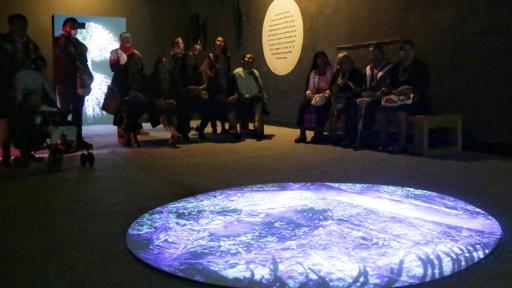 'Forest Mind: sobre la interconexión de la vida