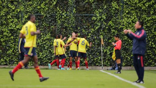 Ellos son los elegidos de la Selección Colombia para el Sudamericano Sub-20 que se jugará en el país