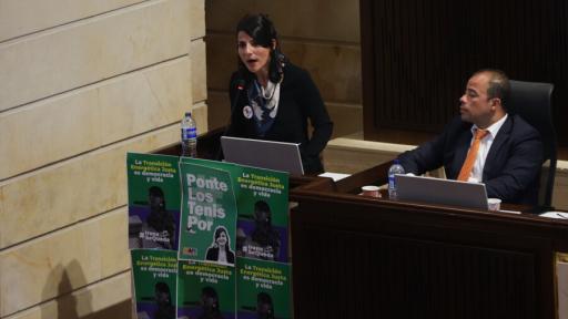Moción de censura ministra de Minas y Energía, Irene Vélez | Intervenciones