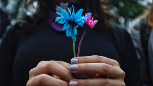 Siete mujeres mueren diariamente en Colombia por cáncer de cuello uterino: estudio