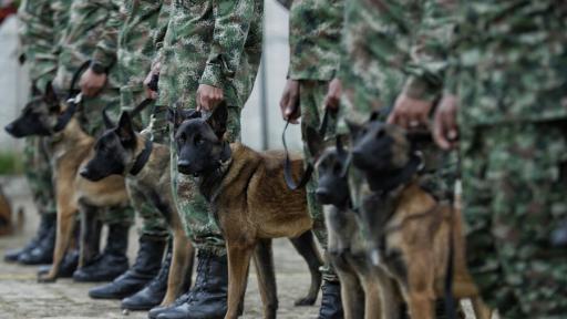 Tierralta, Córdoba, MinDefensa exige drásticas decisiones luego de que militares amenazaron a una comunidad