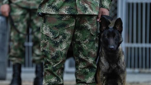 Ejército 
