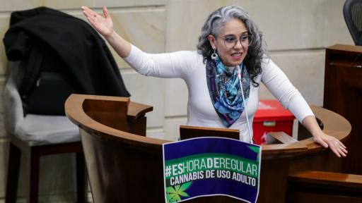 Senado hunde propuesta de cannabis recreacional en último debate