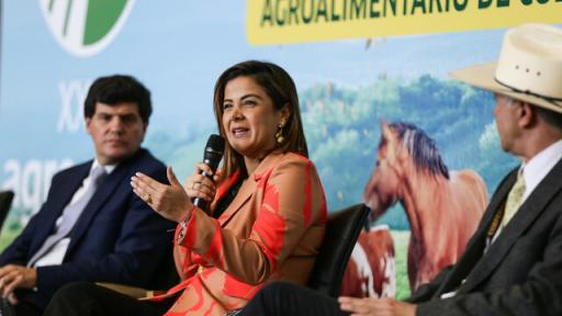 Reforma agraria será presentada en la próxima legislatura
