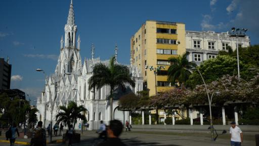 Secretaría de Salud del Valle reporta un aumento en los casos de dengue 