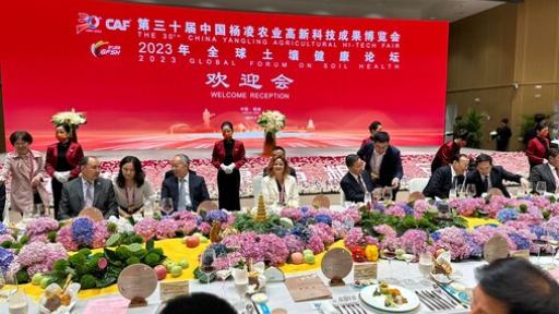 China y Colombia fortalecerán los intercambios artísticos