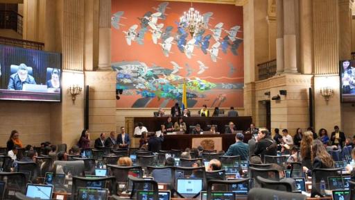 Canasta básica cultural aprobada en Congreso 