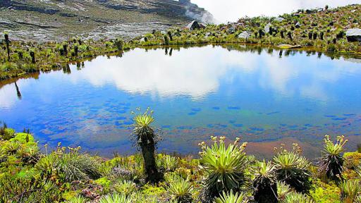 Podcast sobre páramo de Sumapaz | Idartes