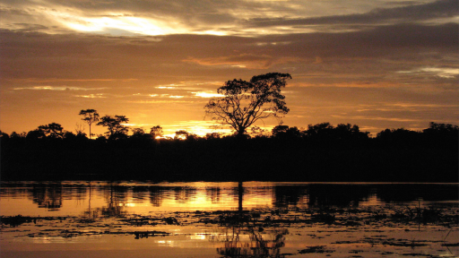 Reconocimiento a la Excelencia Fullbright 2023 para trabajo sobre la Cuenca Amazónica