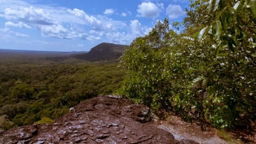 Turista extranjero murió en zona rural del Guaviare