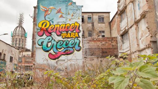 Planes gratis en Bogotá: exposición el ‘Herbario del Bronx'