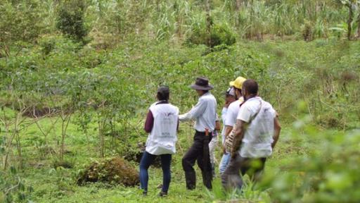 Recuperaron siete cuerpos desaparecidos hace 35 años en el Meta
