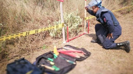 La región del Ariari fue declarada territorio libre de minas antipersonas