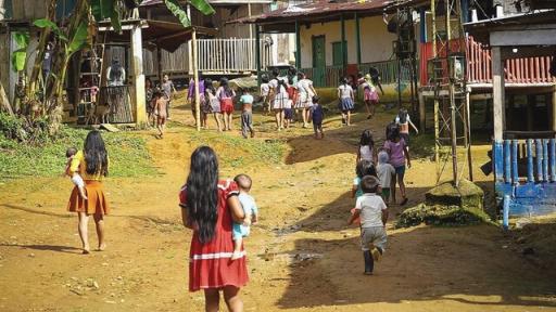 Paludismo en Risaralda: Ministerio de Salud y la Cruz Roja toman medidas para combatir el brote