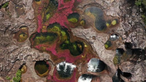 Caño Cristales reabre sus puertas al turismo