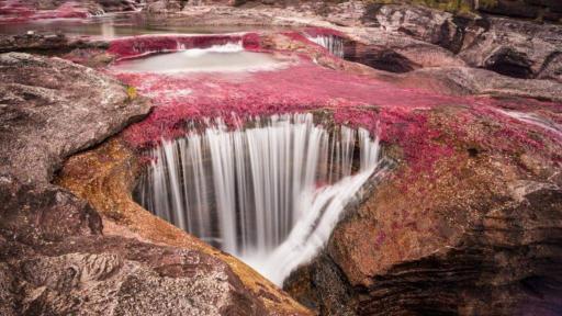 Inicia temporada turística 2025 en Caño Cristales, el río más hermoso del mundo