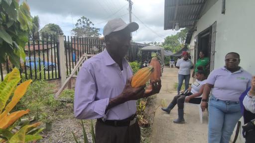 Cacao por la vida comunidades cambian cultivos de uso ilícito por esperanza en el Pacífico