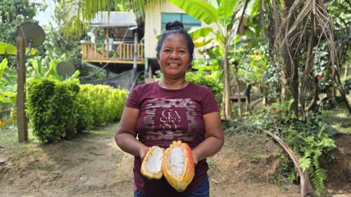 Cadena de frutos amazónicos y productos forestales 