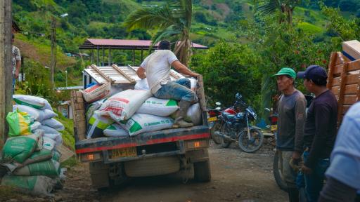 Familias cocaleras en Catatumbo, Cauca y Nariño ya hacen parte del Programa RenHacemos