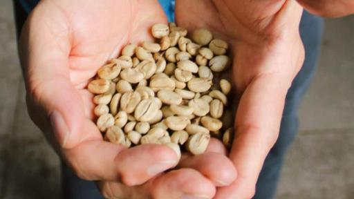 Huila: 800 familias cafeteras beneficiadas con mejoras en las vías rurales 