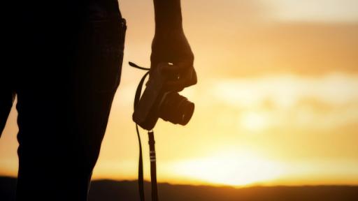 Festiver 2021: se buscan largometrajes y cortometrajes ambientales