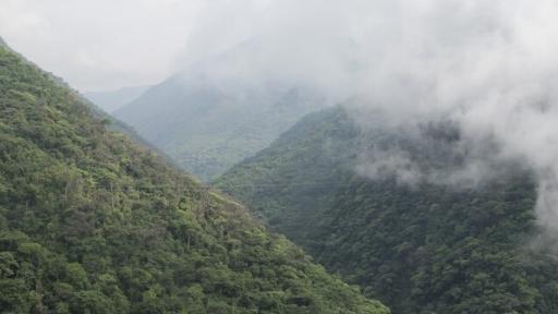 Liberan a comerciante en Antioquia