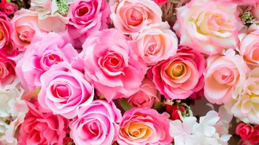 Colombia exporta 700 millones de flores por San Valentín