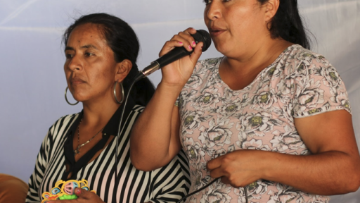Luchas de las mujeres rurales en el Cauca 