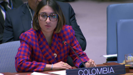Consejo de Seguridad de la ONU: Laura Sarabia