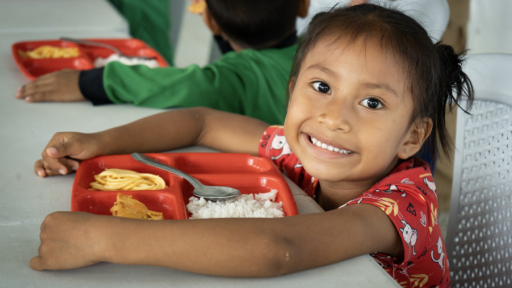 PAE: gobierno aumentó presupuesto y advierte de riesgos por mala ejecución local 