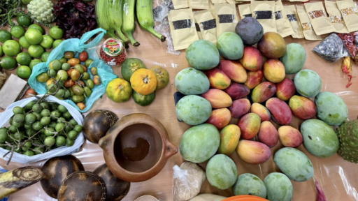 Día Mundial de la Alimentación 2025: los territorios en conflicto también padecen hambre