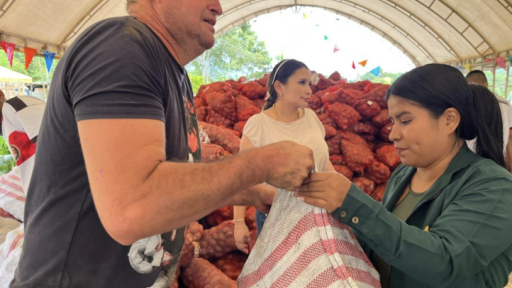 Soberanía alimentaria: programa Papa para el pueblo en Putumayo