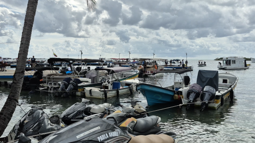 Bombardeos en el Caribe amenazan la seguridad alimentaria San Andrés 