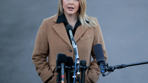  Bruna Ferreira detenida ICE Estados Unidos 