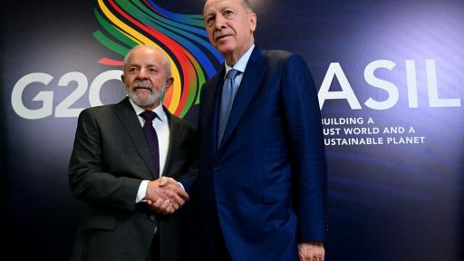 ¿Qué es el G20 y por qué es importante? Temas claves de la cumbre en Brasil 