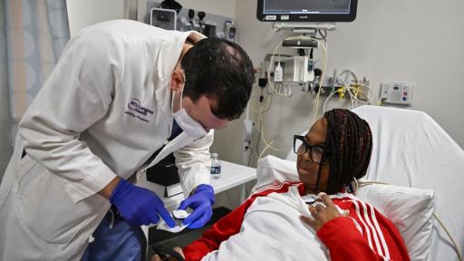 Trasplante de riñón de cerdo en mujer: reacción alentadora 