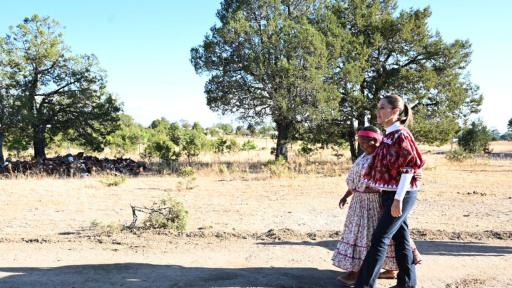México: presidenta Sheinbaum restituye tierras a indígenas