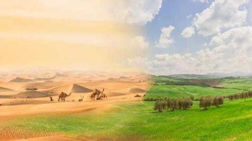 Día de Lucha contra la Desertificación y la Sequía martes 17 de junio de 2025