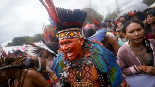 COP30 Brasil: movilización indígenas y peticiones a la cumbre 