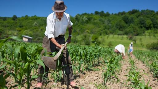 ¿Cuáles han sido las reformas agrarias en Colombia?