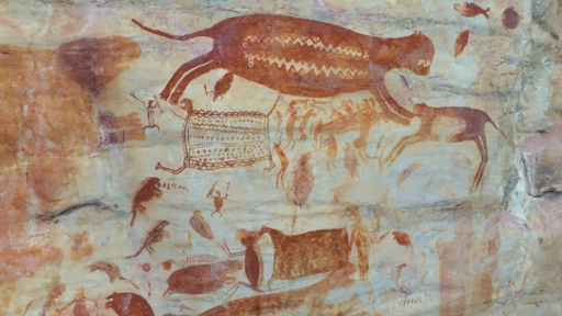 Chiribiquete: estreno mundial 14 de junio