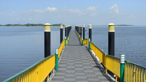 En la Ciénaga de Zapatosa, las mujeres trasformaron la tarulla en artesanías