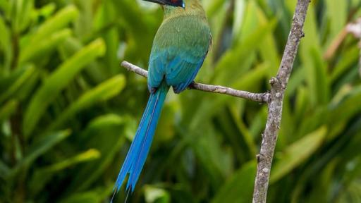 Herramientas tecnológicas para cambio climático en Quindío