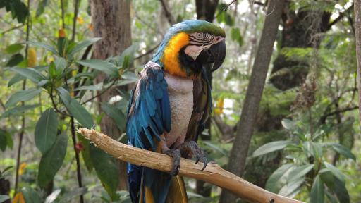Colombia gana premio a mejor destino en evento internacional realizado en Brasil