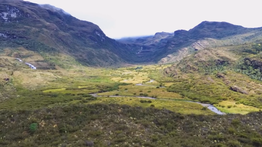 Colombia tiene más de 30 millones de hectáreas cultivables subutilizadas