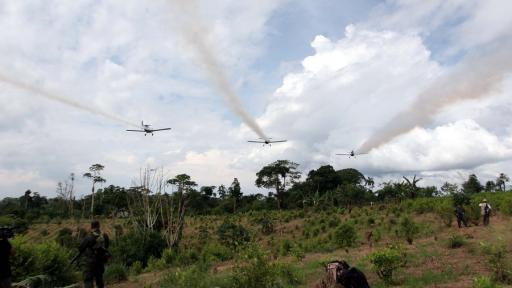 Aspersión de glifosato