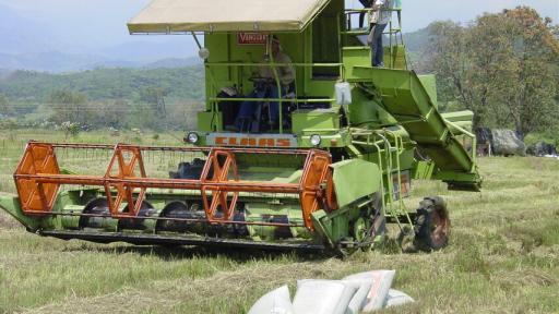 Arroceros: Gobierno anunció apoyo en almacenamiento y secamiento