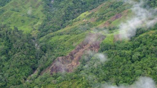 Más de 90 mil hectáreas fueron deforestadas en la Orinoquía: Policía
