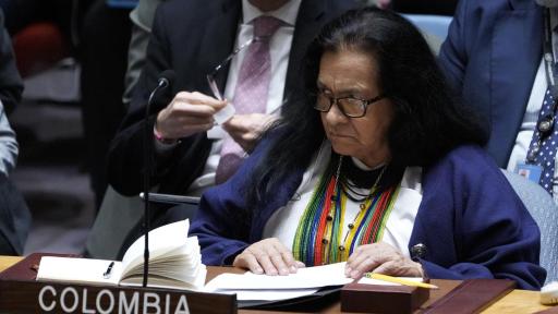 Conclusiones Consejo de Seguridad de la ONU 5 enero 2026